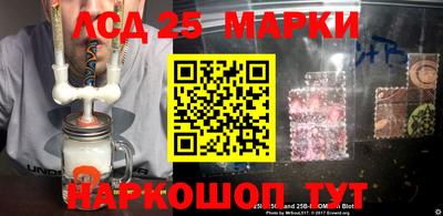мяу мяу мука Будённовск