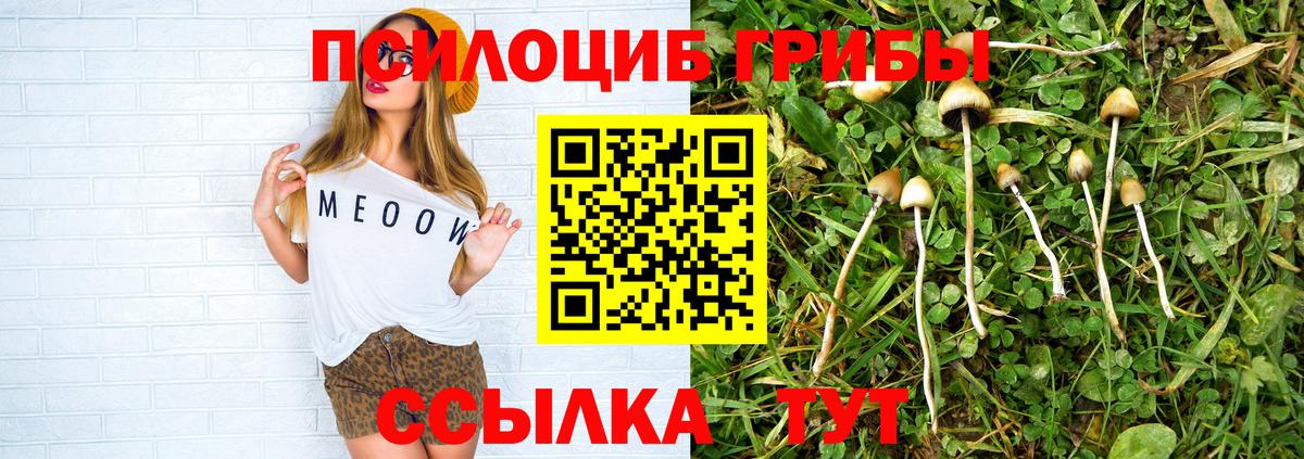Фролово  Псилоцибиновые грибы Psilocybe  Псилоцибиновые грибы Psilocybe  Вход с VPN 