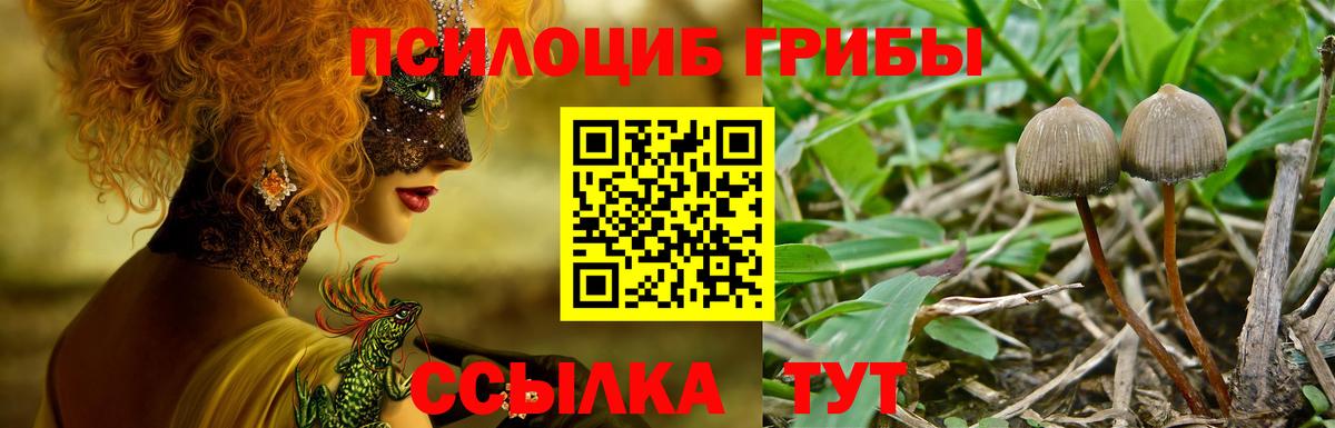 Псилоцибиновые грибы GOLDEN TEACHER Фролово